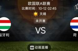 开云下载-匈牙利客场战平威尔士，实力坚挺