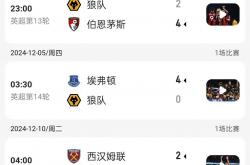 开云体育下载-狼队惜败对手，战绩令人担忧！的简单介绍