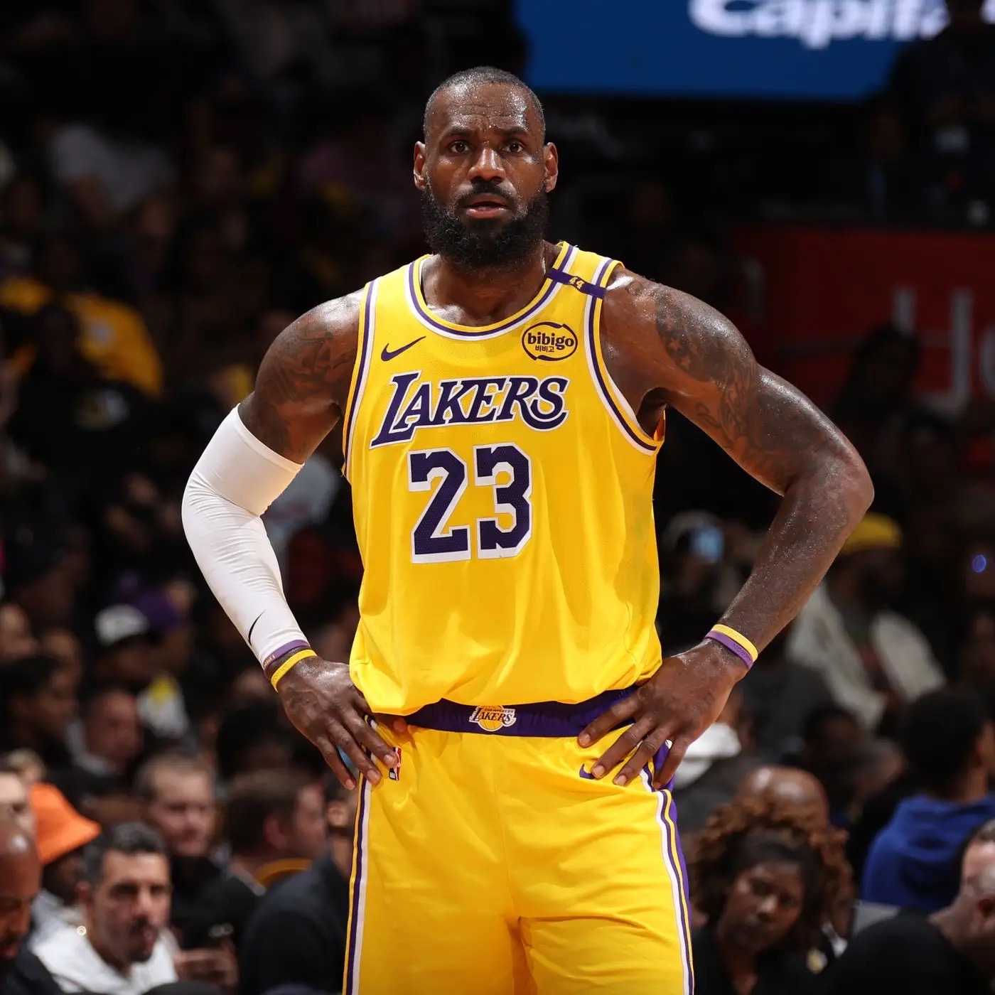 关于一位球员在本赛季中表现出色，取得了明显的进步和突破的信息