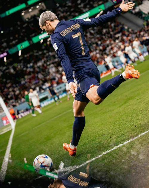 南特前锋获得法国联赛MVP的简单介绍