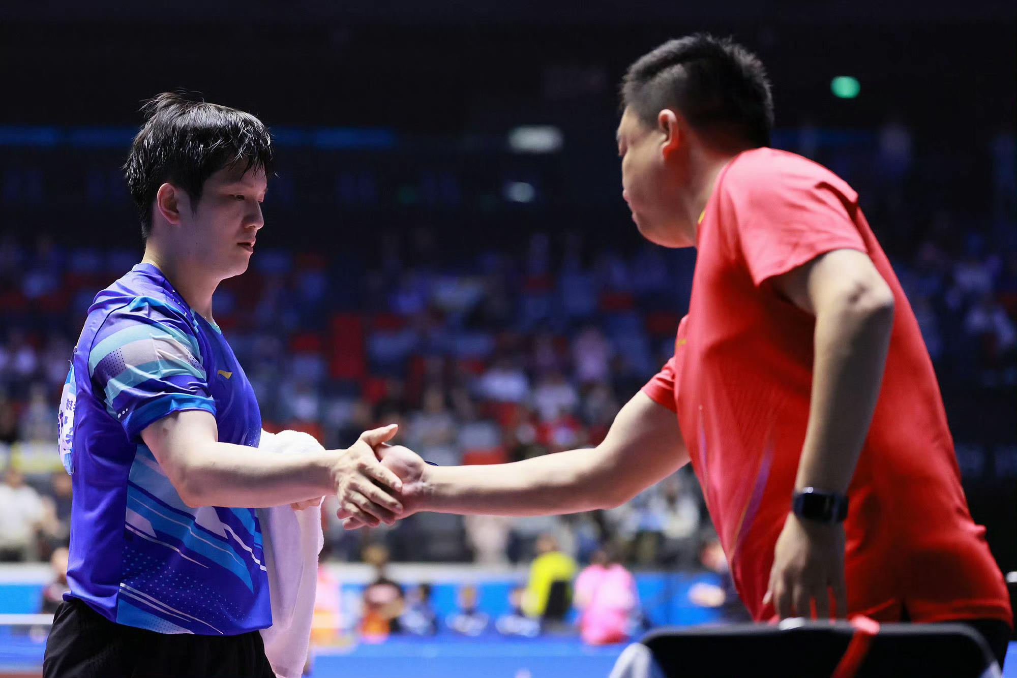 韩国队翻盘英格兰队,樊振东点燃赛场 韩国队翻盘英格兰队,樊振东点燃赛场